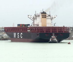 Msc Vita 23 11 17