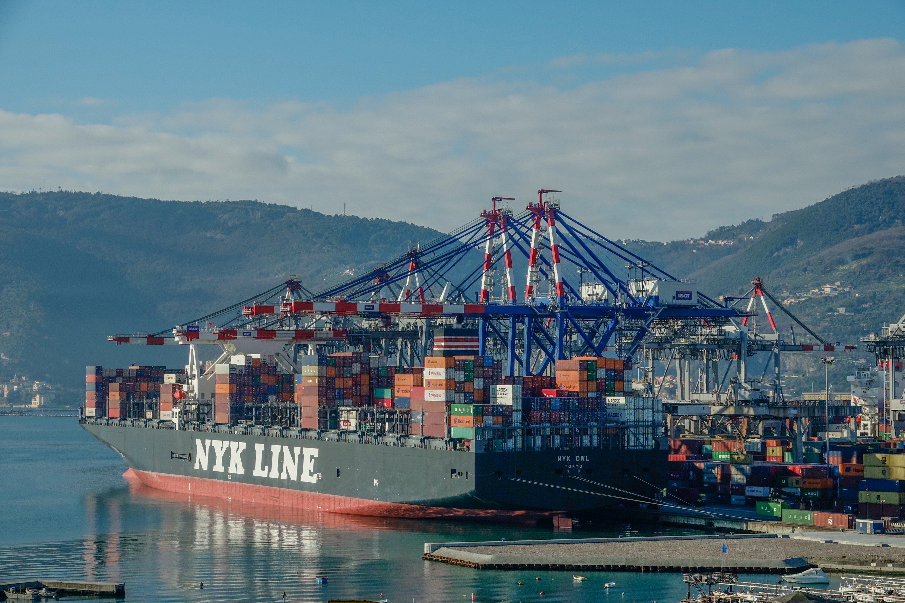 Nyk Owl