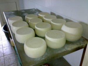 Dazi Frmaggio pecorino sardo e Fiore Sardo