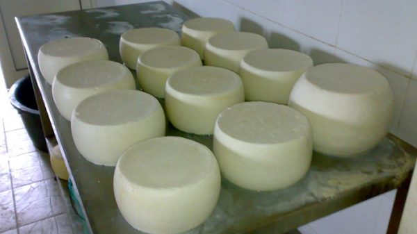 Dazi Frmaggio pecorino sardo e Fiore Sardo