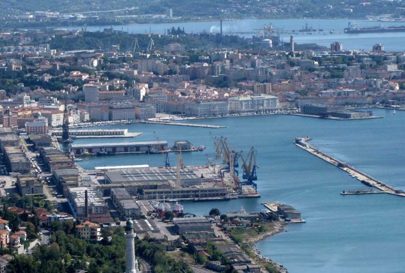 protocollo TUM International