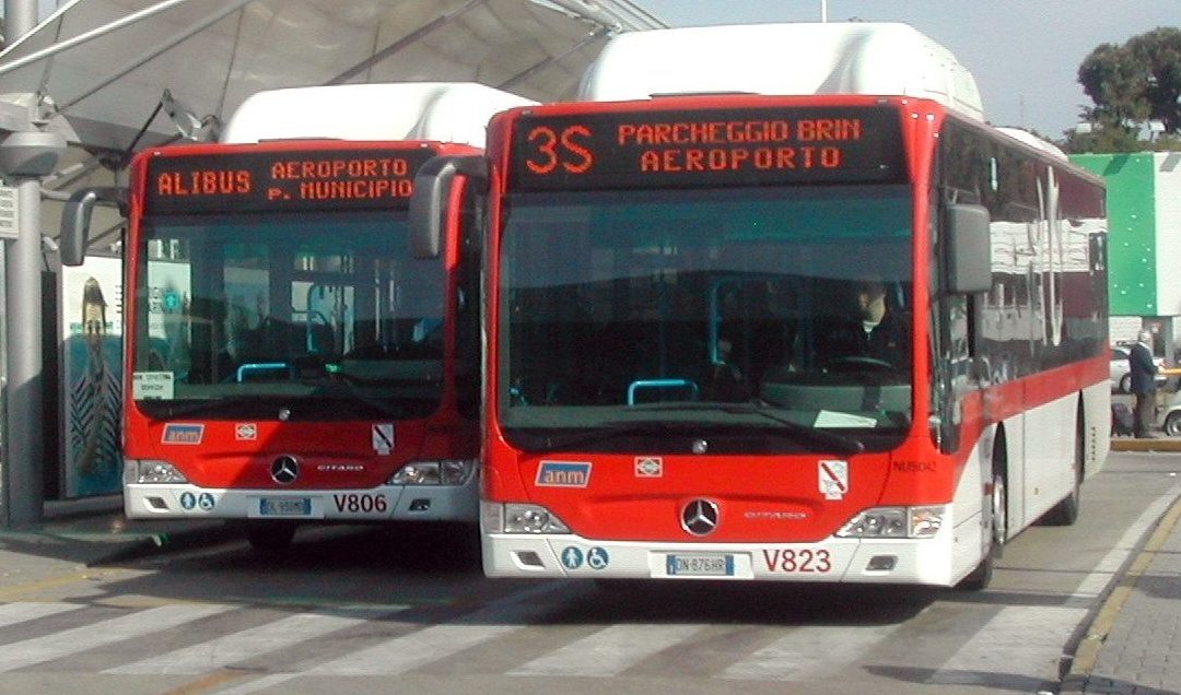 bus