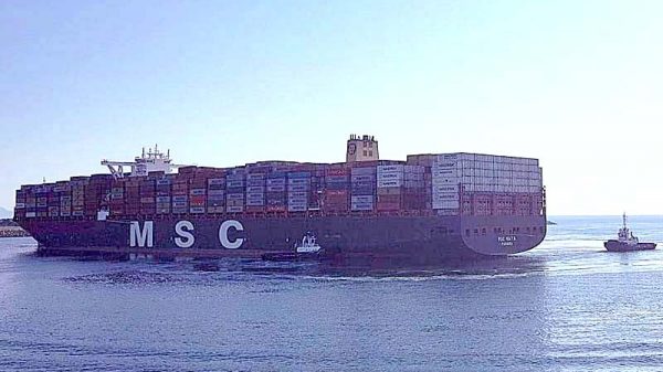 msc maya