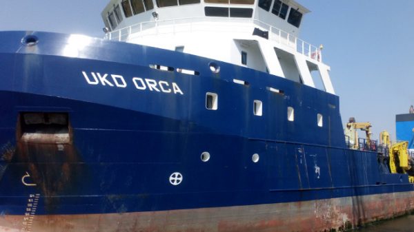 UKD Orca IPSWICH