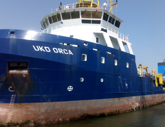 UKD Orca IPSWICH