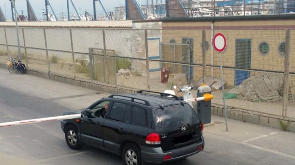 viareggio