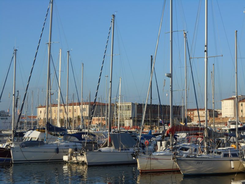 confindustria nautica patente nautica navigazione a vela patenti nautiche siste Sportello telematico del diportista codice della nautica sgombero diportisti