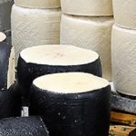 formaggio Tavolo sul latte, Regione Sardegna un milione per internazionalizzazione