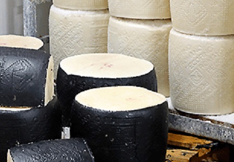formaggio Tavolo sul latte, Regione Sardegna un milione per internazionalizzazione
