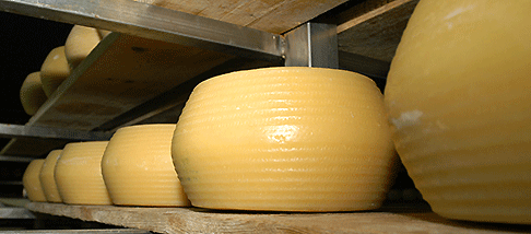 Formaggi sardi, Giunta delibera sostegno a export