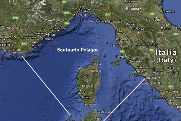 Plastic Busters Mpas: rilievi nel Santuario dei cetacei la mappa del sito