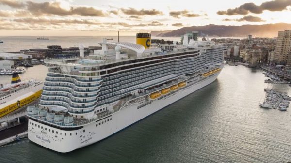 opportunità di lavoro programmi