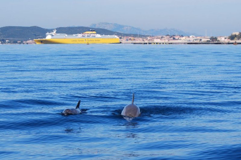 Golfo Aranci