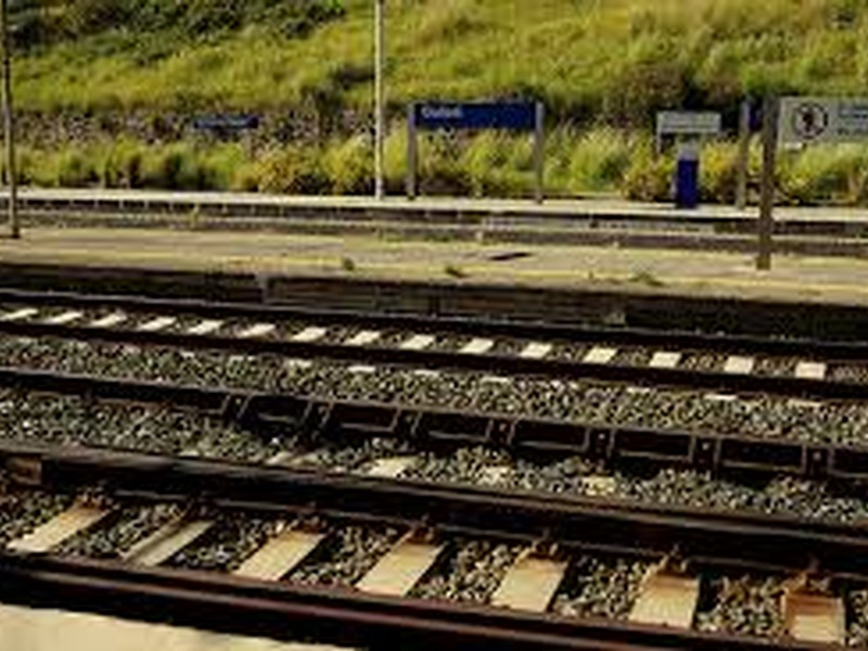 ferro ferrovie regionali merci Comitato della mobilità ai servizi ferroviari aggiuntivi, nella foto una porzione di binario ferroviario anno europeo delle ferrovie