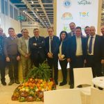 Logistica 2020