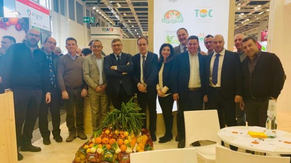 Logistica 2020