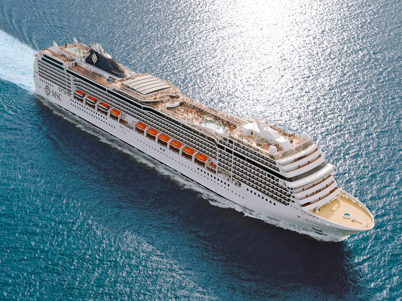 MscMagnifica