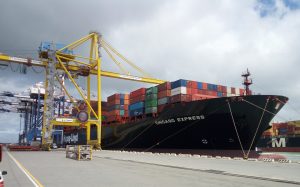 tdt terminal container in italia