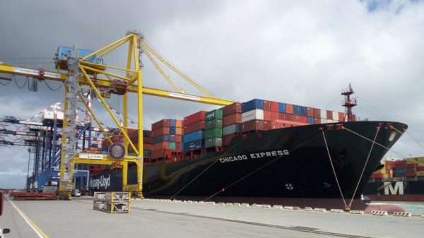 tdt terminal container in italia