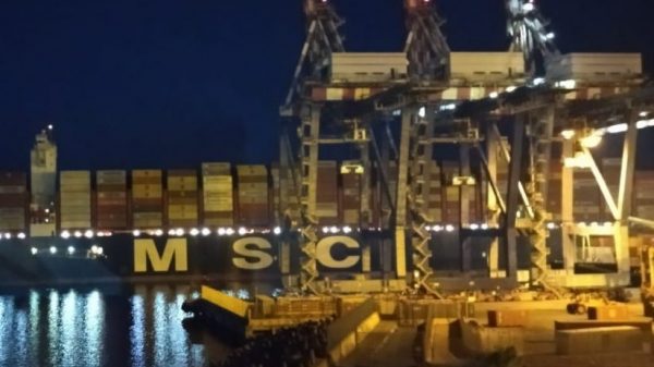 Msc Gulsum