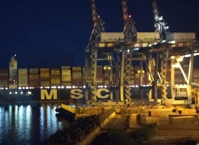 Msc Gulsum