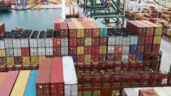 trasporto export