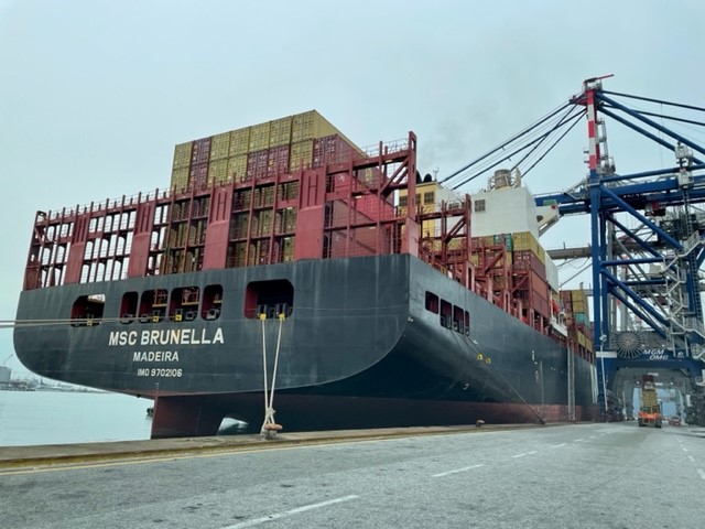 msc brunella