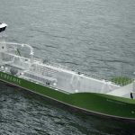 Bahia Levante ibrida