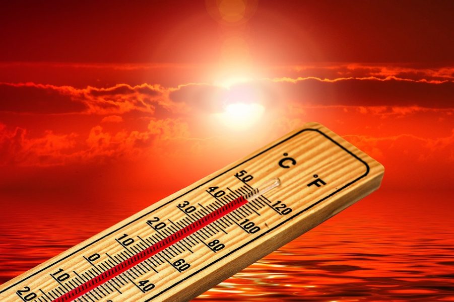 caldo