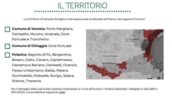 rodigino
