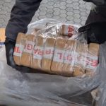 cocaina traffico Alleanza europea dei porti