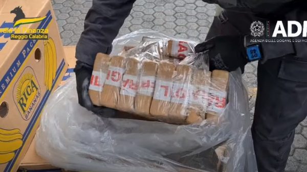 cocaina traffico Alleanza europea dei porti