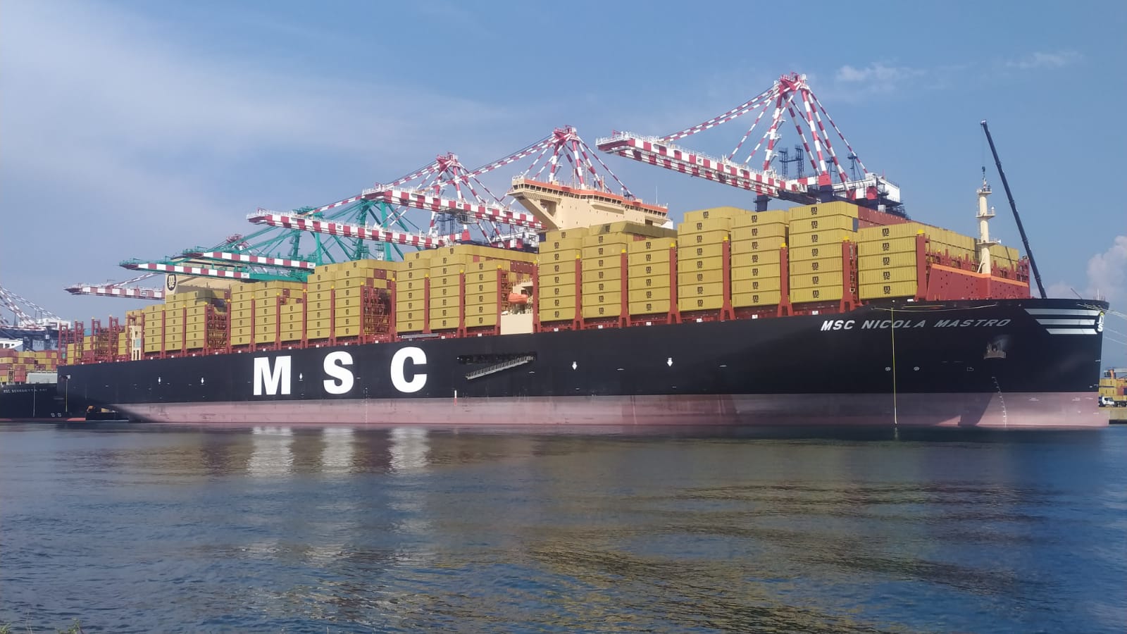 gioia tauro msc