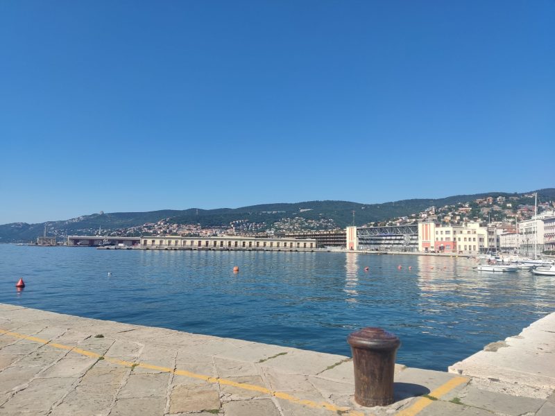 gurrieri trieste corte dei conti dibattiti