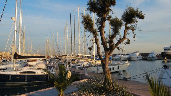 marina di nettuno