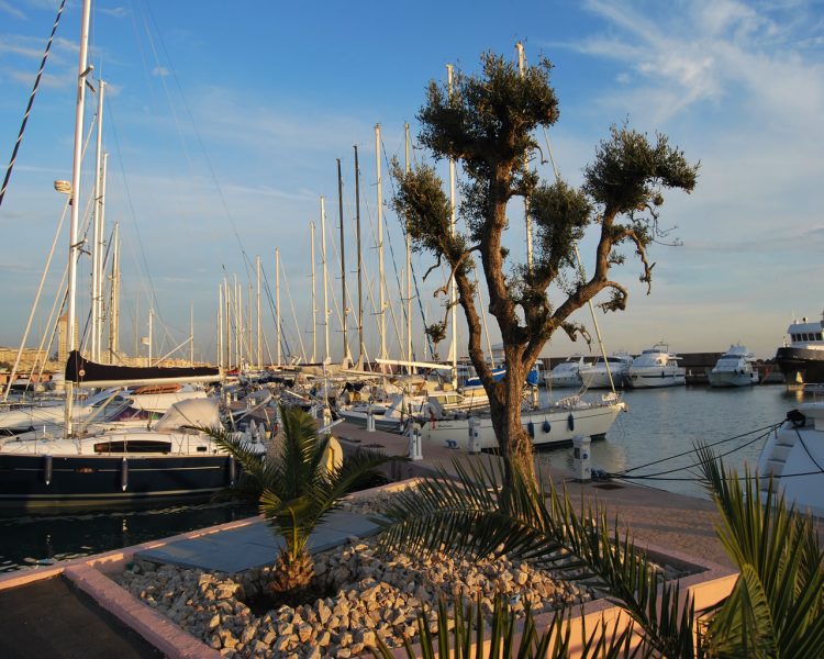 marina di nettuno