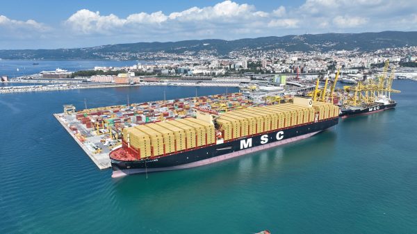 Msc Nicola Mastro