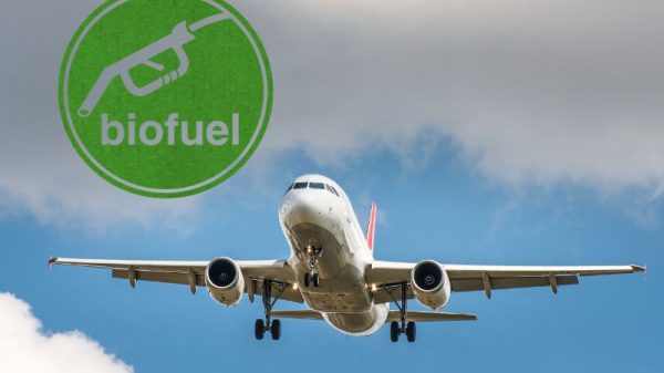 carburante sostenibile aeroporti