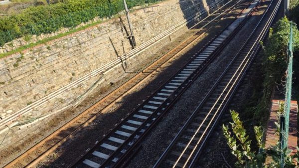 autostrada ferroviaria alpina operaio fermerci sismico women in rail ferrobonus regionale