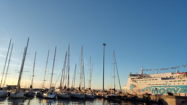 titoli nautica regolamento cartabia