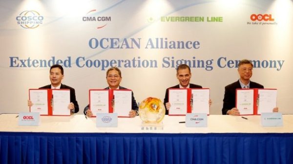 Ocean Alliance