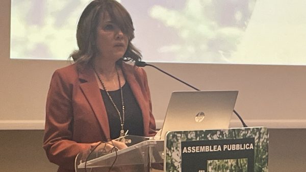 alsea assemblea
