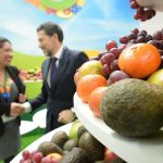 Fruit logistica 2025