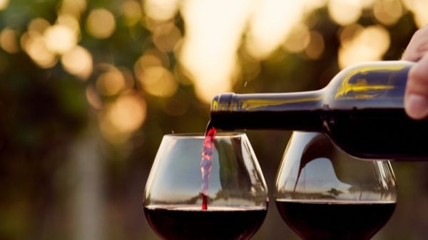 vino