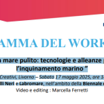 mare