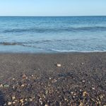 aree marine protette