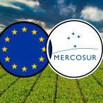 mercosur