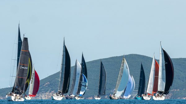Rotaract Cup