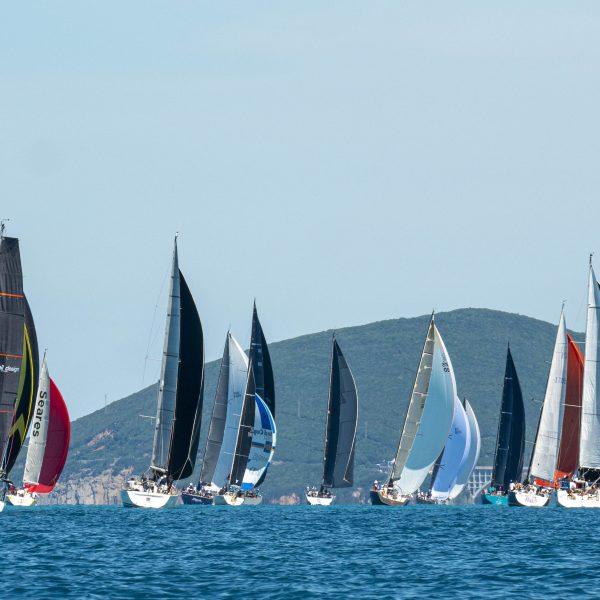 Rotaract Cup