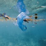 microplastiche